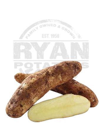 kipfler_potatoes